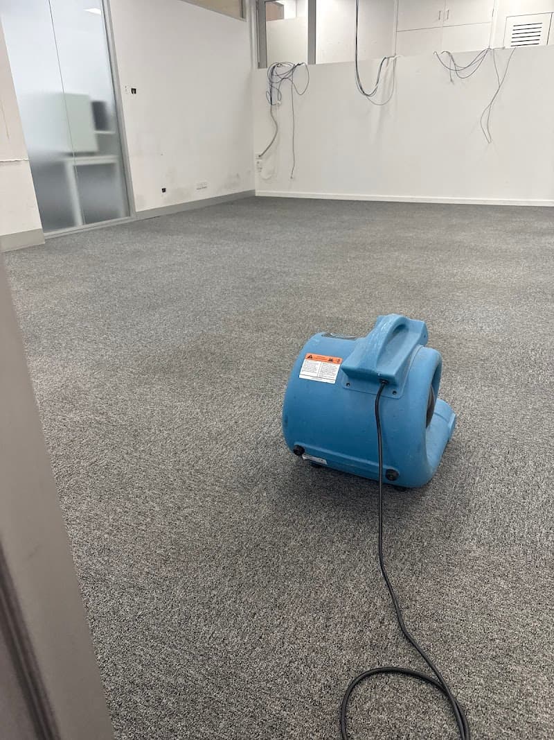 Omega Carpet Cleaning Melbourne carpet cleaning work in Melbourne
