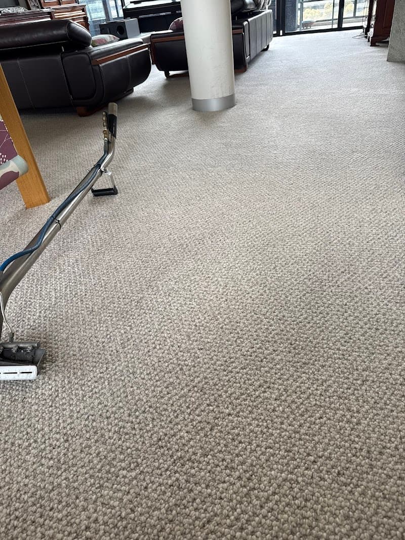 Omega Carpet Cleaning Melbourne carpet cleaning work in Melbourne