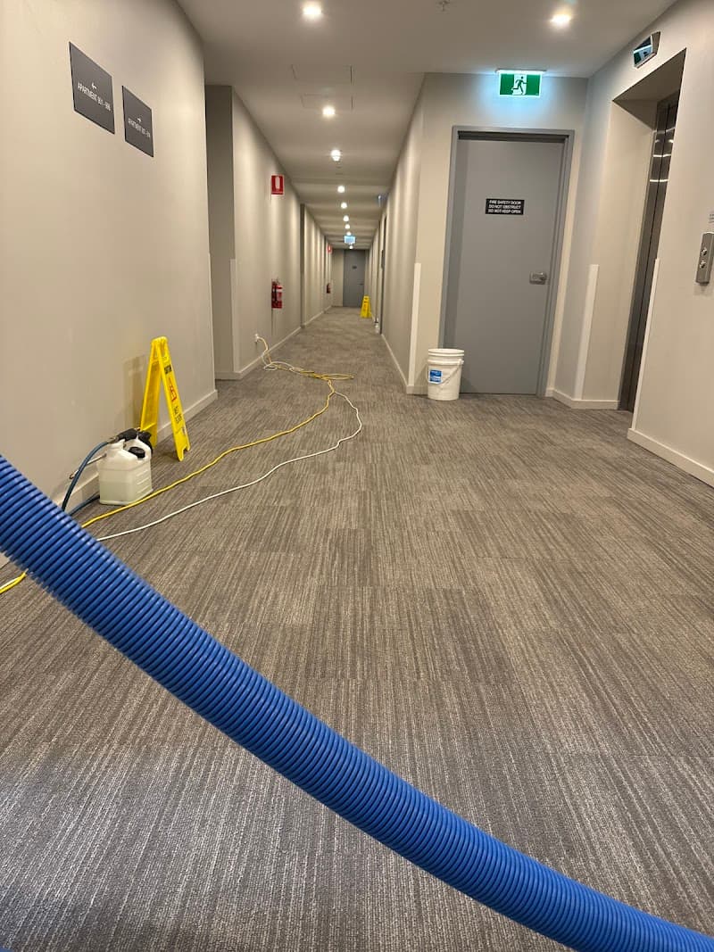 Omega Carpet Cleaning Melbourne carpet cleaning work in Melbourne