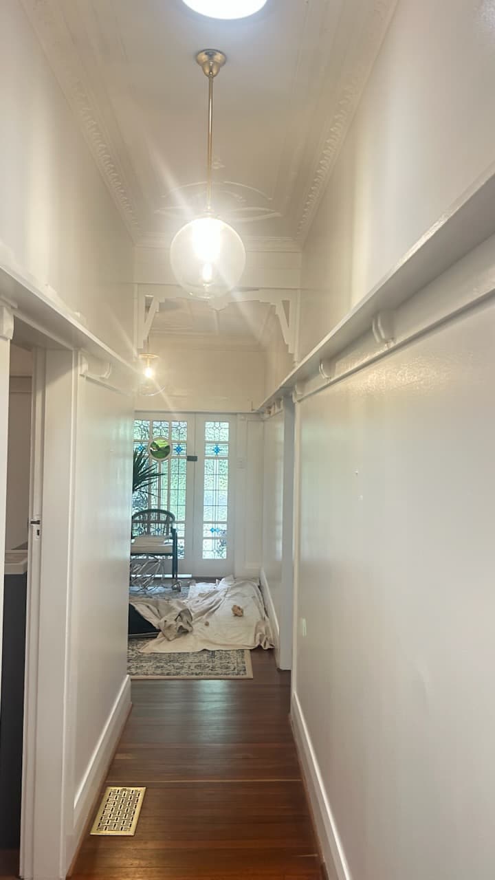opal professional company painter work in Sydney