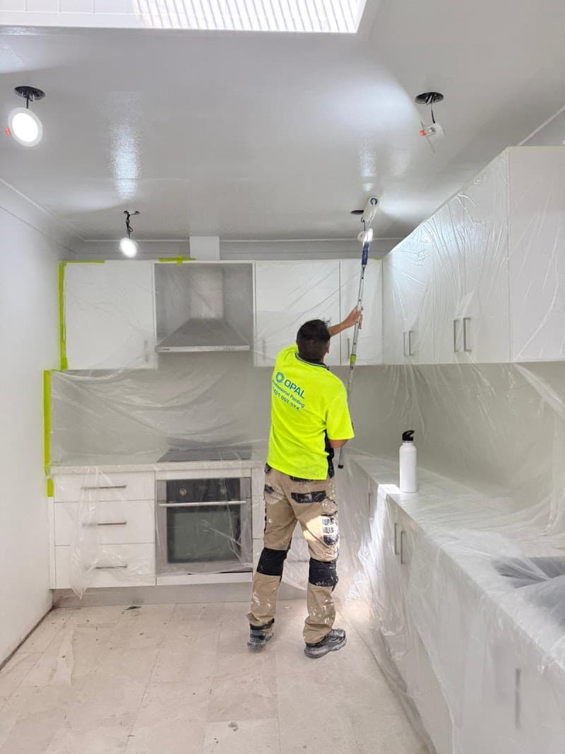 opal professional company painter work in Sydney