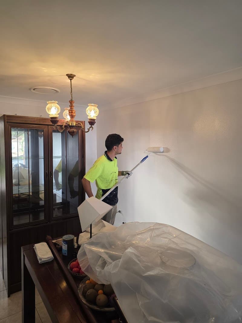 opal professional company painter work in Sydney