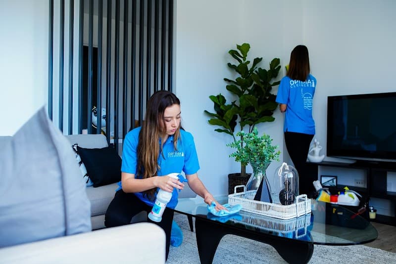 Optima Cleaners oven & bbq cleaning work in Spring Hill