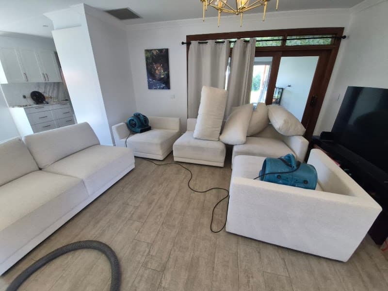Optimum cleaning company carpet cleaning work in Auburn