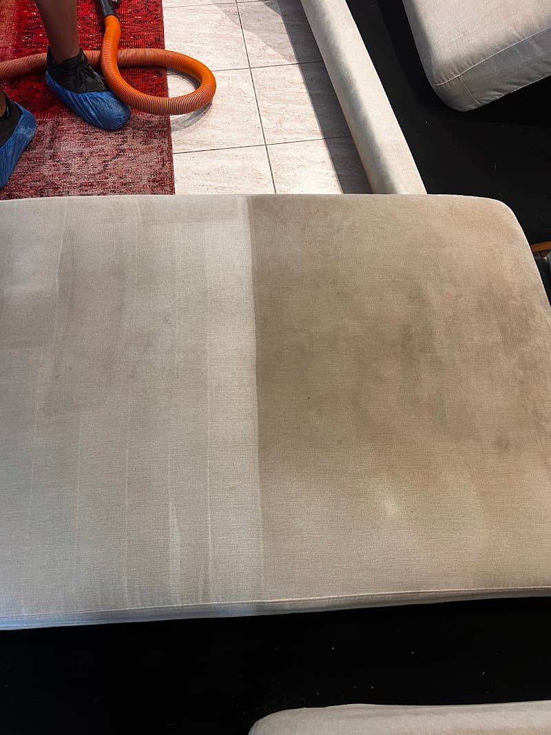 Optimum cleaning company carpet cleaning work in Auburn