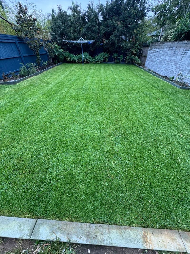 Order of the Lawn lawn care work in Kenmore