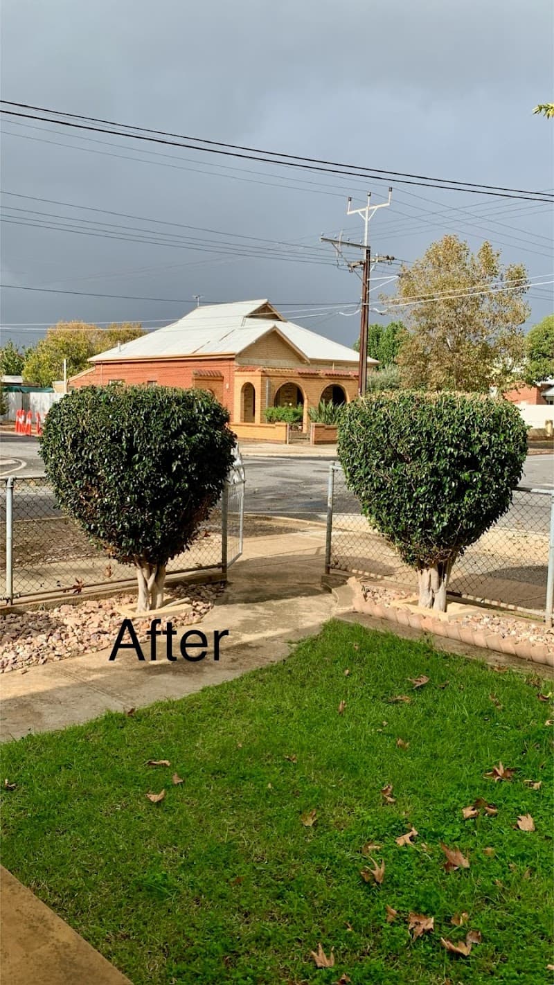 OSA Gardening landscaping work in Kent Town