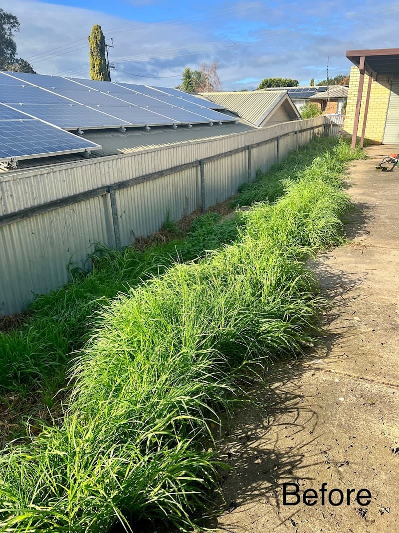 OSA Gardening landscaping work in Kent Town