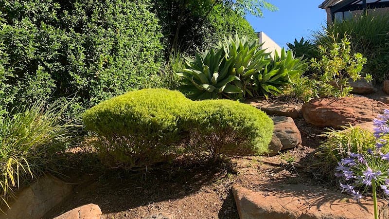 OSA Gardening landscaping work in Kent Town