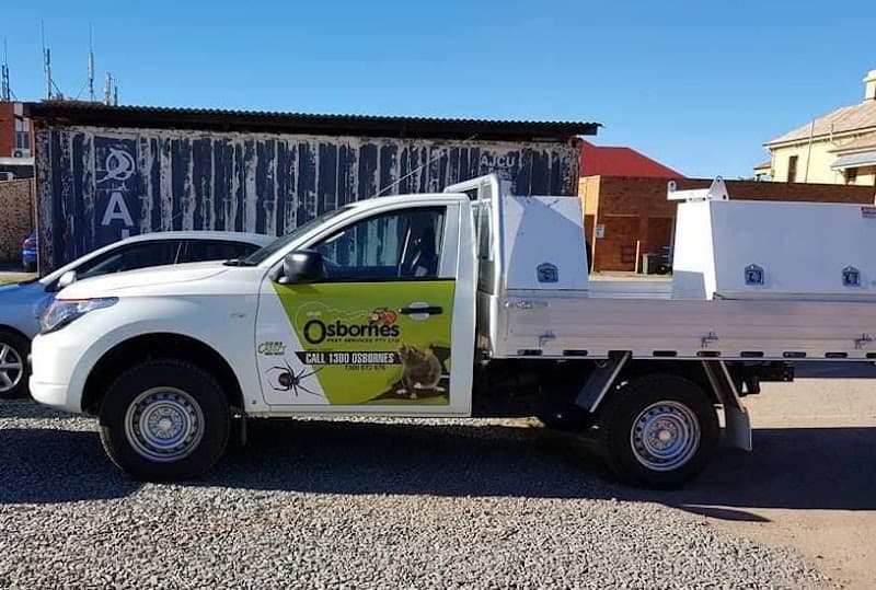 Osborne's Pest Services P/L pest control work in Wellington Point