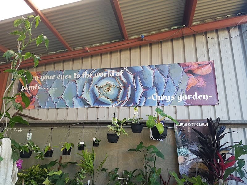 Owys Garden landscaping work in Glen Iris