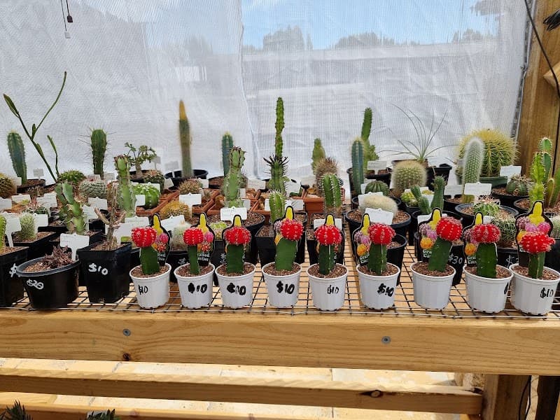 Owys Garden landscaping work in Glen Iris