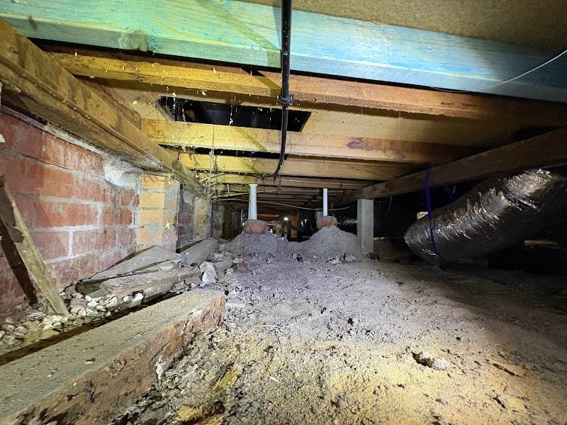 OZ PEST CONTROL CANBERRA pest control work in Theodore