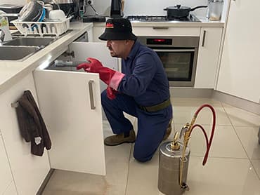OZ PEST CONTROL CANBERRA pest control work in Theodore