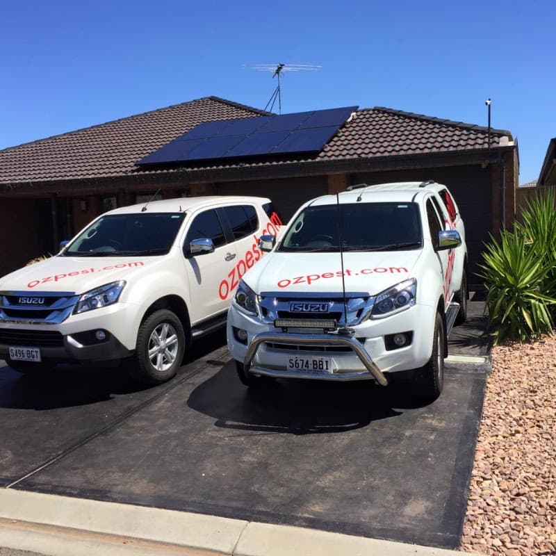 OzPest Adelaide pest control work in Elizabeth