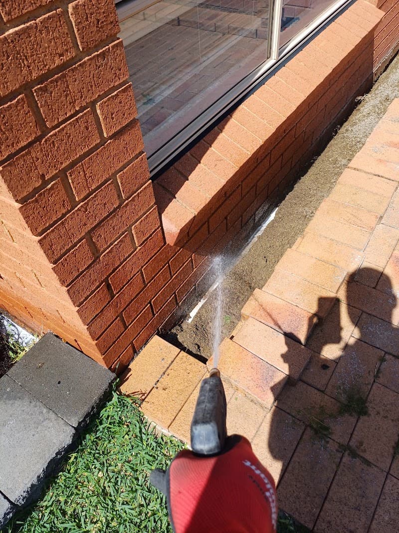 OZWIDE PEST CONTROL pest control work in Illawong