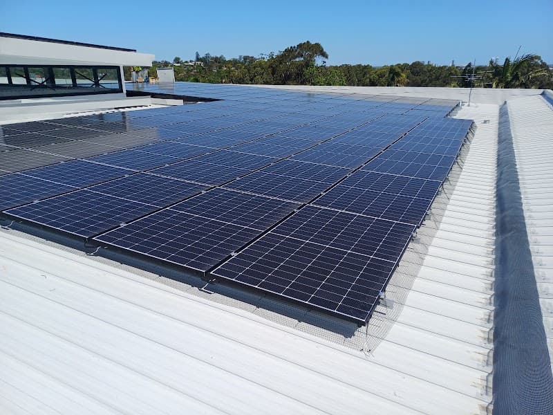 OZWIDE PEST CONTROL pest control work in Illawong