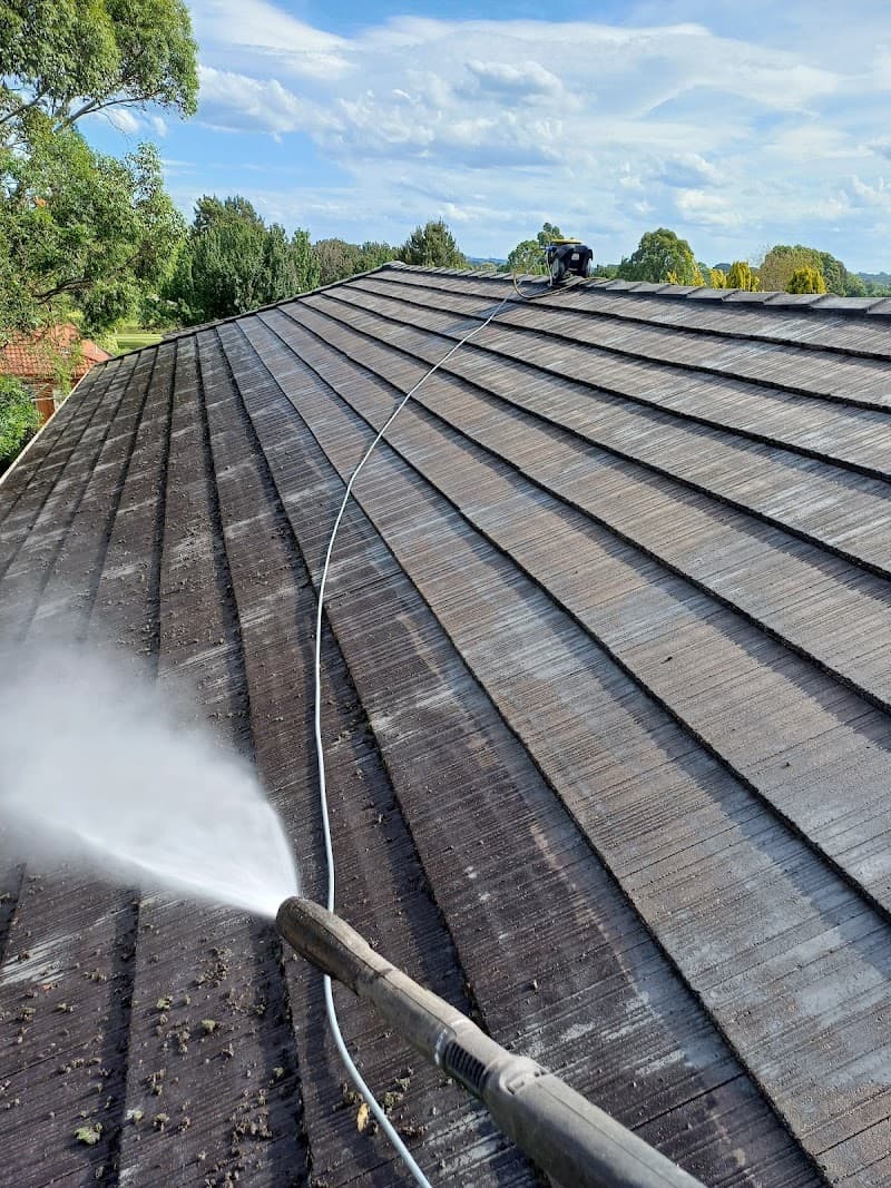 OZWIDE PEST CONTROL pest control work in Illawong