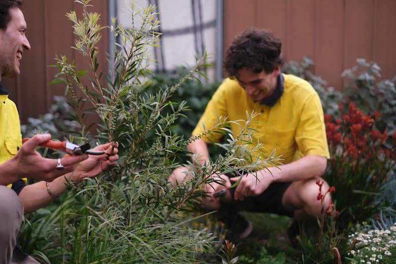 Ozzie Mowing & Gardening gardening work in Clifton Hill