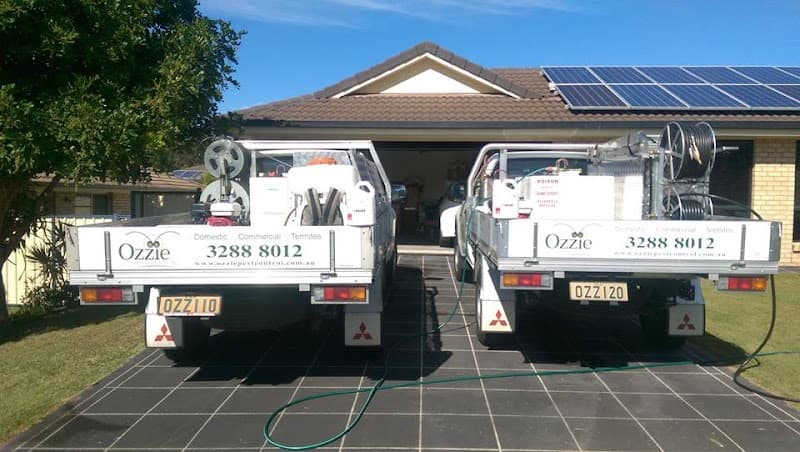 Ozzie Pest Control & Solar Clean pest control work in Flinders View