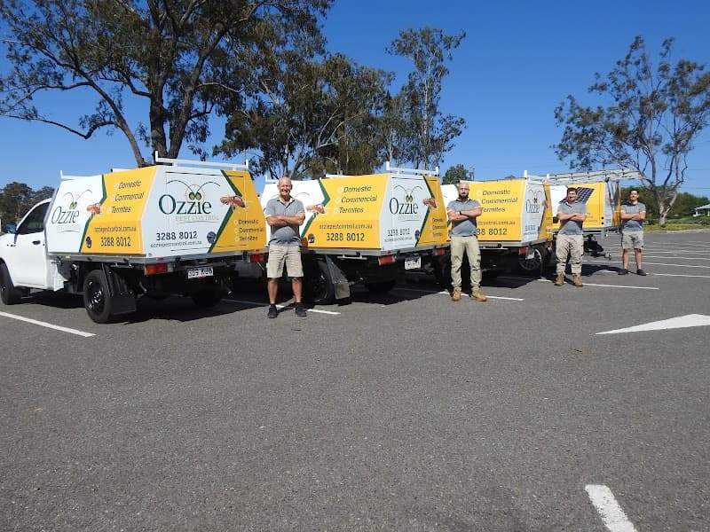 Ozzie Pest Control & Solar Clean pest control work in Flinders View