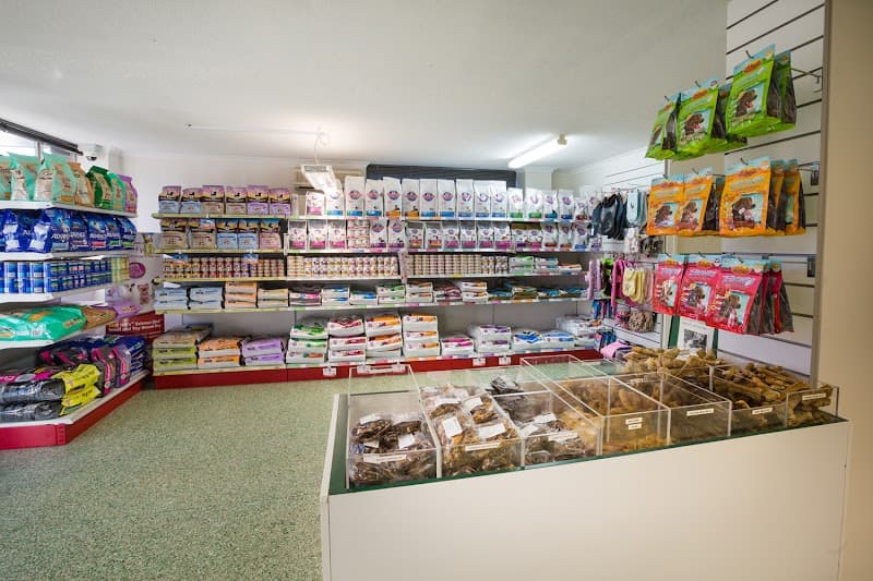 Paddington Pups dog grooming work in Milton