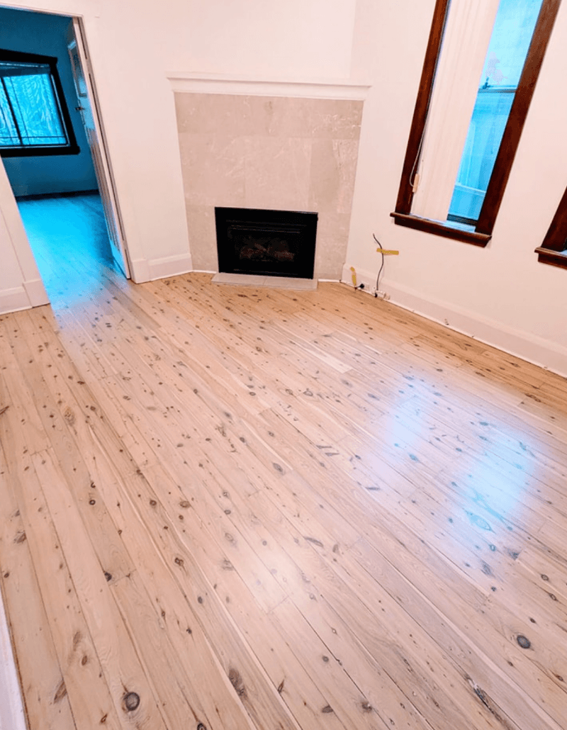 Painting Lab painter work in Collaroy