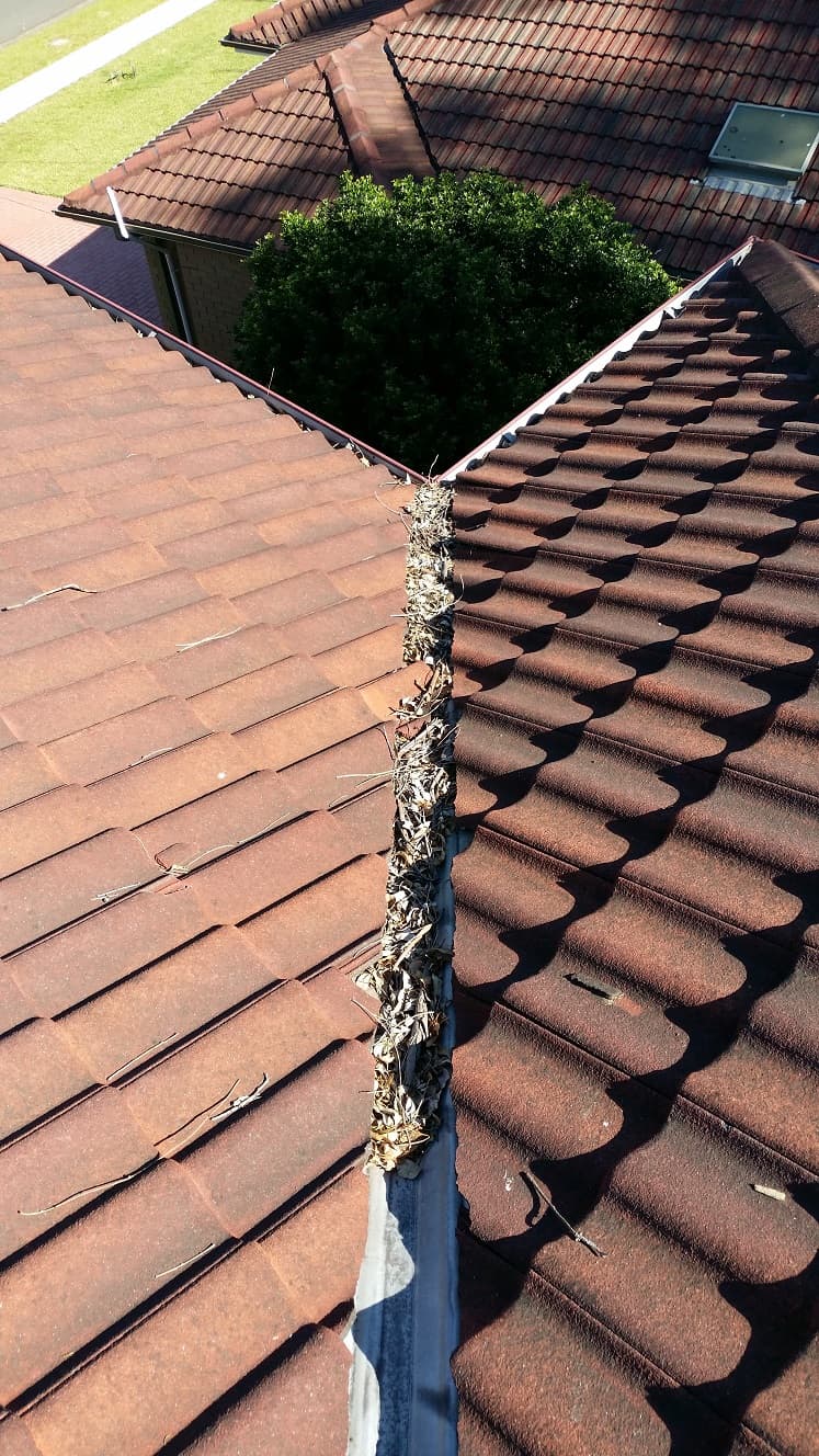 PAUL GUTTER CLEANING - Repairs & Installation and High Pressure Cleaning gutter cleaning work in Greystanes