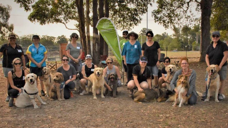 Paws 4 Change dog training work in Brisbane City