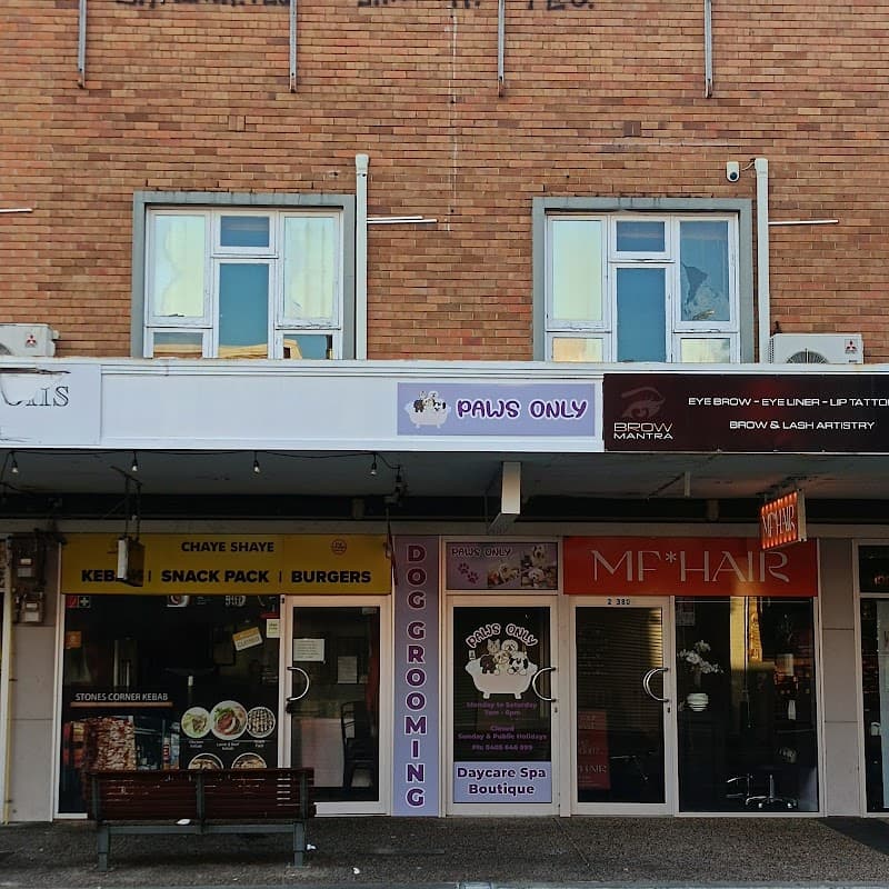 Paws Only Grooming Salon Spa & Boutique dog grooming work in Stones Corner