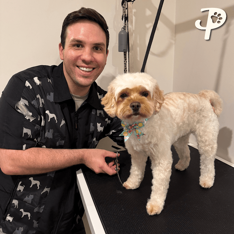 Paws Truly dog grooming work in Northgate