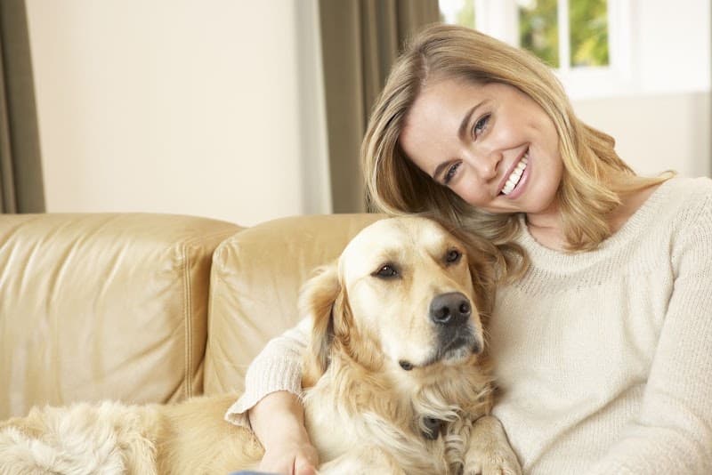 Pawshake pet sitting & house sitting work in New Farm