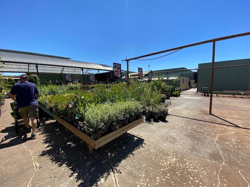 Peards Albury landscaping work in Albury