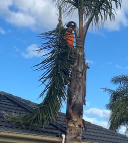 Peninsula Tree Service