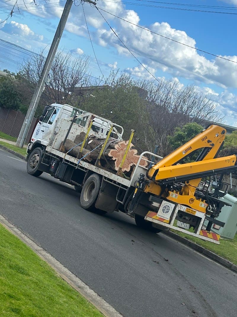 Peninsula Tree Service tree services work in Dromana