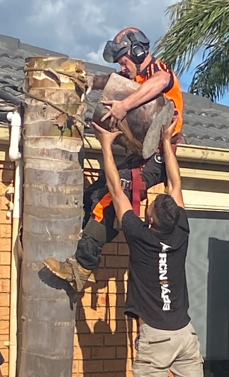 Peninsula Tree Service tree services work in Dromana
