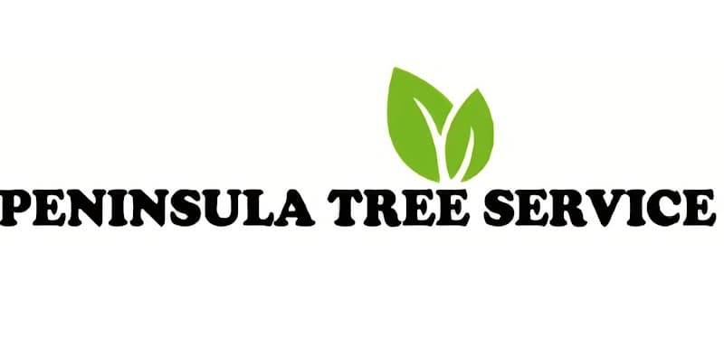 Peninsula Tree Service tree services work in Dromana