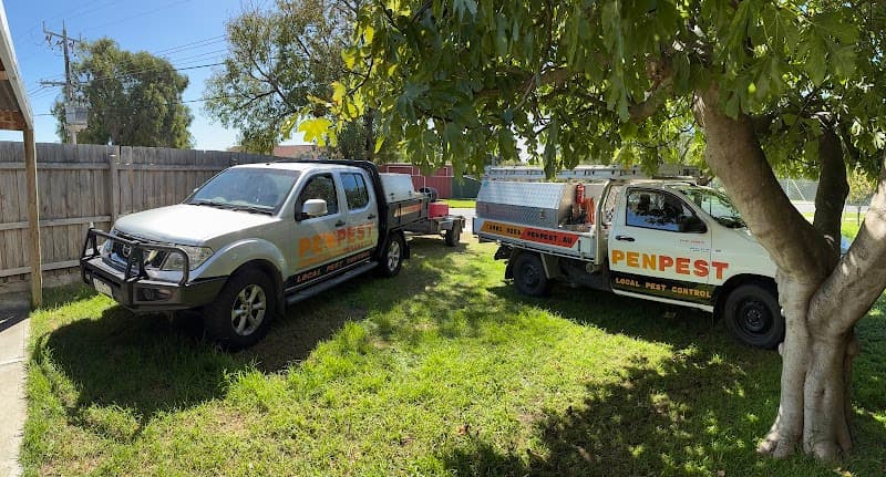 PENPEST pest control work in Dromana