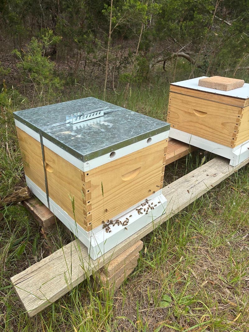 PENPEST pest control work in Dromana
