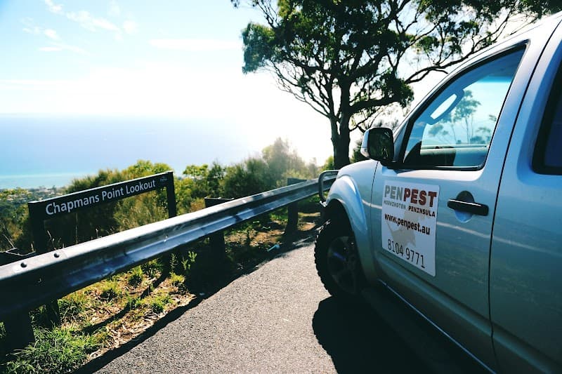 PENPEST pest control work in Dromana