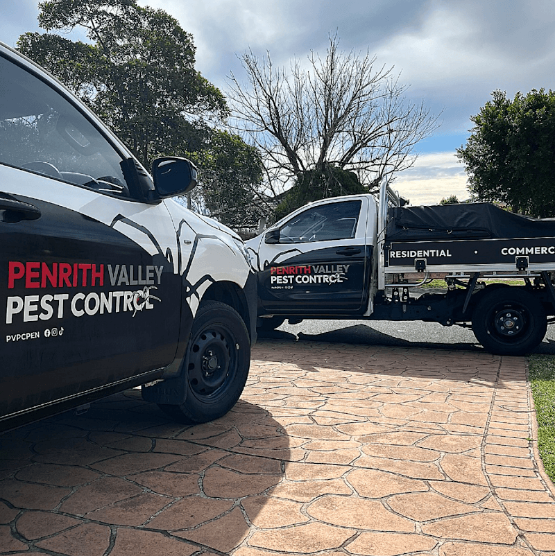 Penrith Valley Pest Control pest control work in Penrith