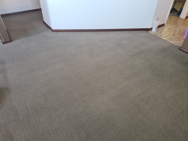 Perth Cleaning Masters oven & bbq cleaning work in Perth