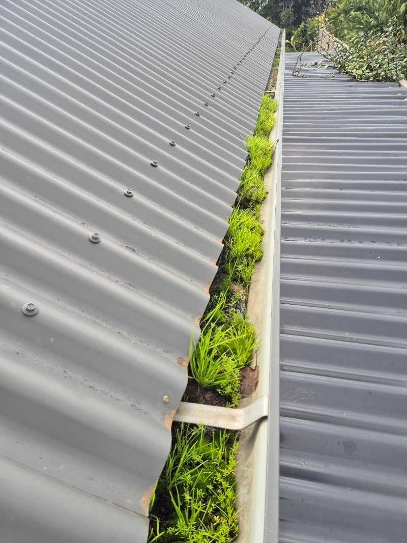 Perth Expert Gutter Cleaning gutter cleaning work in Highgate