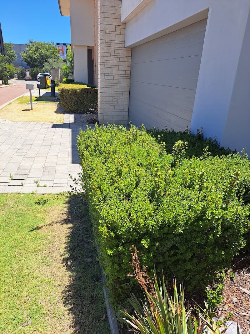 Perth Gardening Experts gardening work in Jandakot