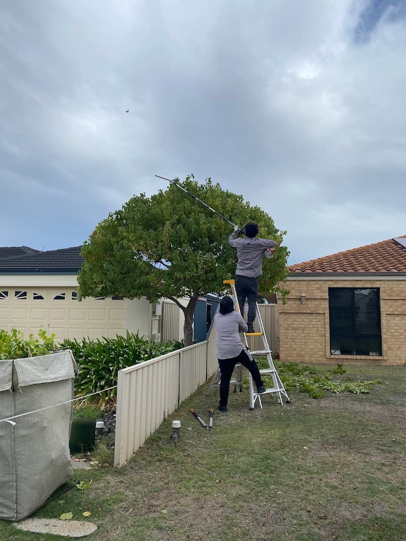 Perth Gardening Experts gardening work in Jandakot