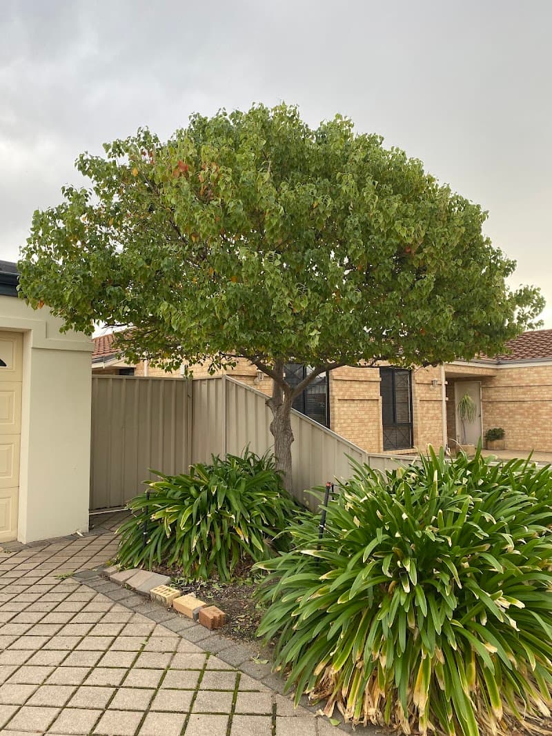 Perth Gardening Experts gardening work in Jandakot