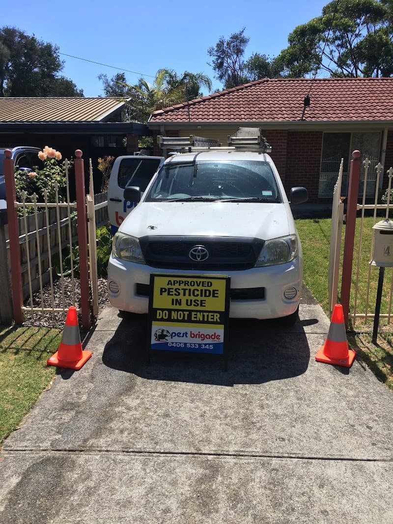 Pest Brigade pest control work in Capel Sound