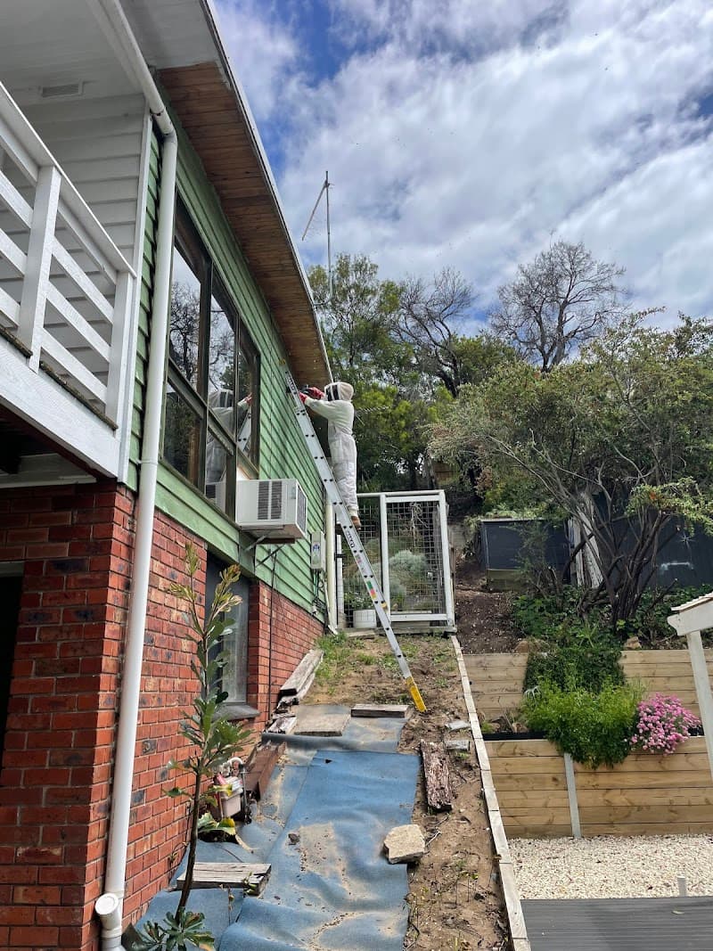Pest Brigade pest control work in Capel Sound