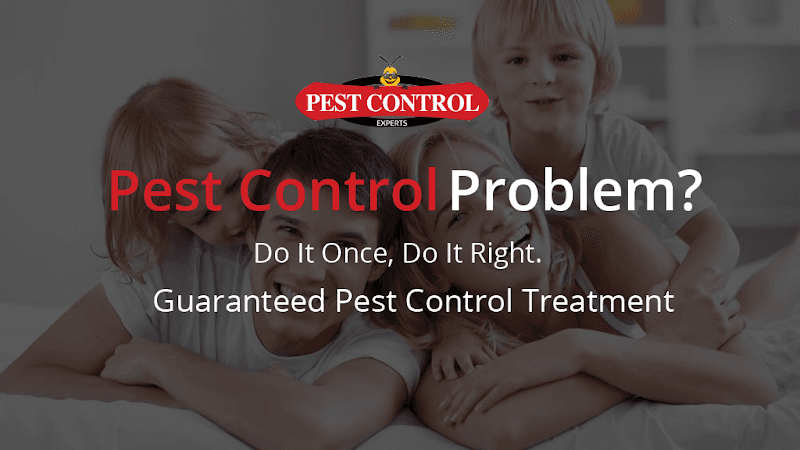 Pest Control Canberra pest control work in Canberra