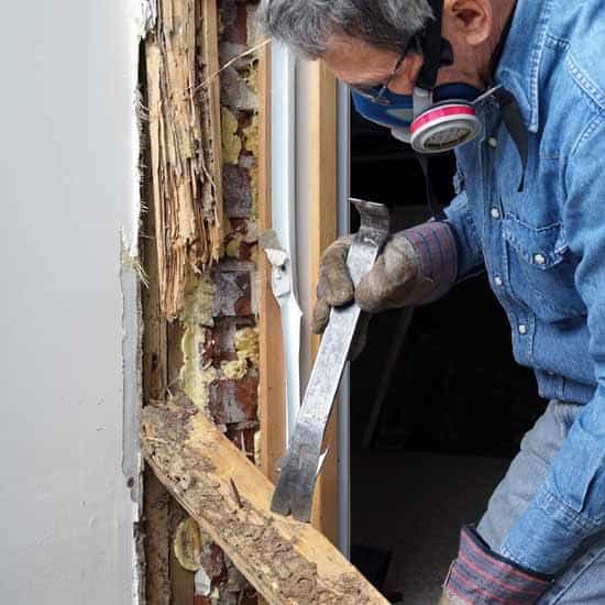 Pest Control Canberra pest control work in Canberra